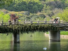 -苏州上方山国家森林公园