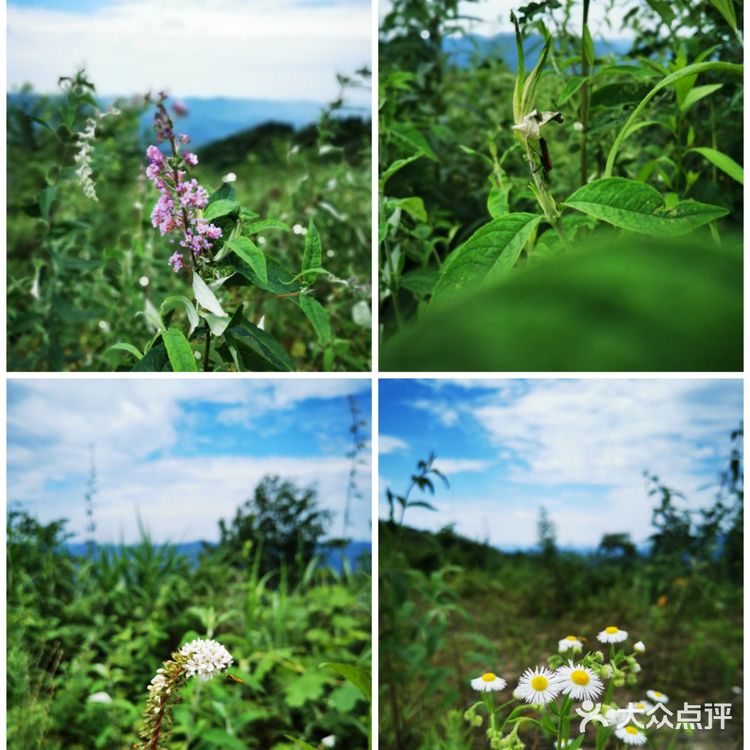离重庆车程1.5小时避暑打卡地