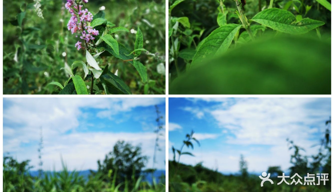 离重庆车程1.5小时避暑打卡地