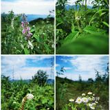 离重庆车程1.5小时避暑打卡地