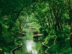 -北坞公园