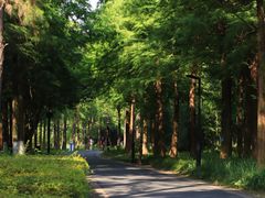 -西溪国家湿地公园