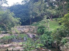 -广州市白云山风景名胜区