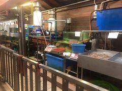 -真浪花园海鲜餐馆
