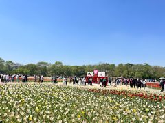 -北陵公园