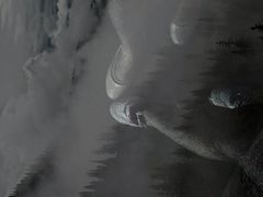 -庐州太太(双岗店)