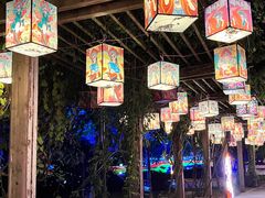 -广西壮族自治区药用植物园