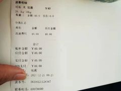 -宠福鑫康馨动物医院·骨科·眼科