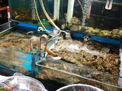 -九层海鲜塔(市南店)