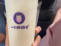 -一只酸奶牛(八一路店)