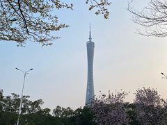 -海心沙亚运公园