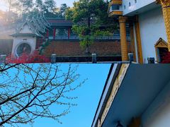 -报恩禅寺