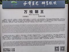 -张坝桂圆林公园