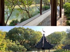 -上海醉白池公园