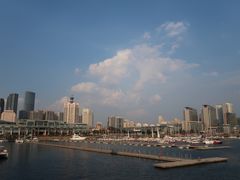 -九龙餐厅(大沽路店)