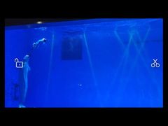 -芜湖新华联大白鲸海洋公园