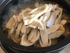 -蘑统田下·野生菌火锅