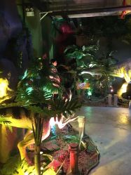 点击看大图 -恐龙探索乐园(磁器口店)