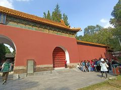 -紫金山山顶公园
