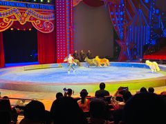 -珠海横琴长隆《卡卡虎奇遇记》