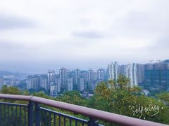 -金鸡山公园