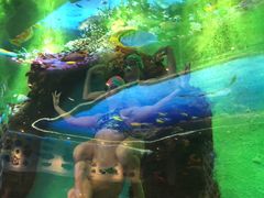 -瑞德姆美人鱼海底演艺主题餐厅(亚龙湾店)