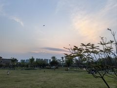 -府河摄影公园