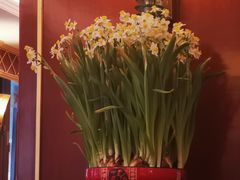 -国际饭店·原点咖啡吧ORIGIN CAFE&BAR