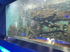 -石家庄海洋公园