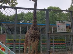 -荆州中山公园动物园