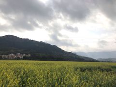 -悦城龙母祖庙