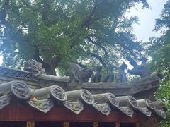 -青岛崂山太清宫
