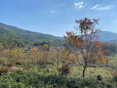 -塔川景区