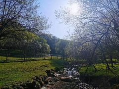 -大水川景区