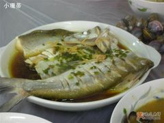 河里的鱼-老品芳