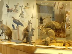 -墨尔本博物馆(Melbourne Museum)
