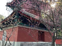 -香山公园