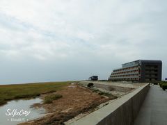 景点-南汇嘴观海公园