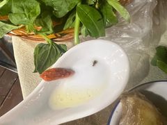 -一煲鸽
