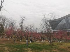 -桂溪生态公园