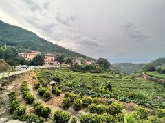 -杨家堂村