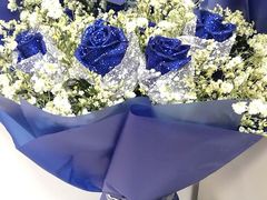 -瑞德姆美人鱼海底演艺主题餐厅(亚龙湾店)