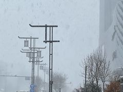 -牛王庙小吃(桥头街店)