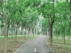 -太阳宫公园