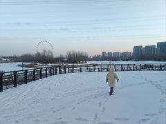 -丁香湖公园