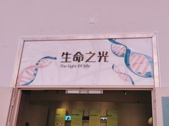 -陕西自然博物馆