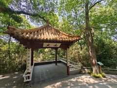 -北极阁公园