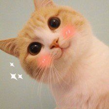 -金陵夜猫子私房菜(茂业天地店)