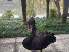 -上海怡沁园度假酒店