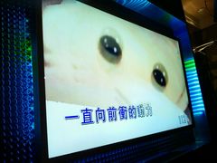-乐界KTV(虹桥中心店)
